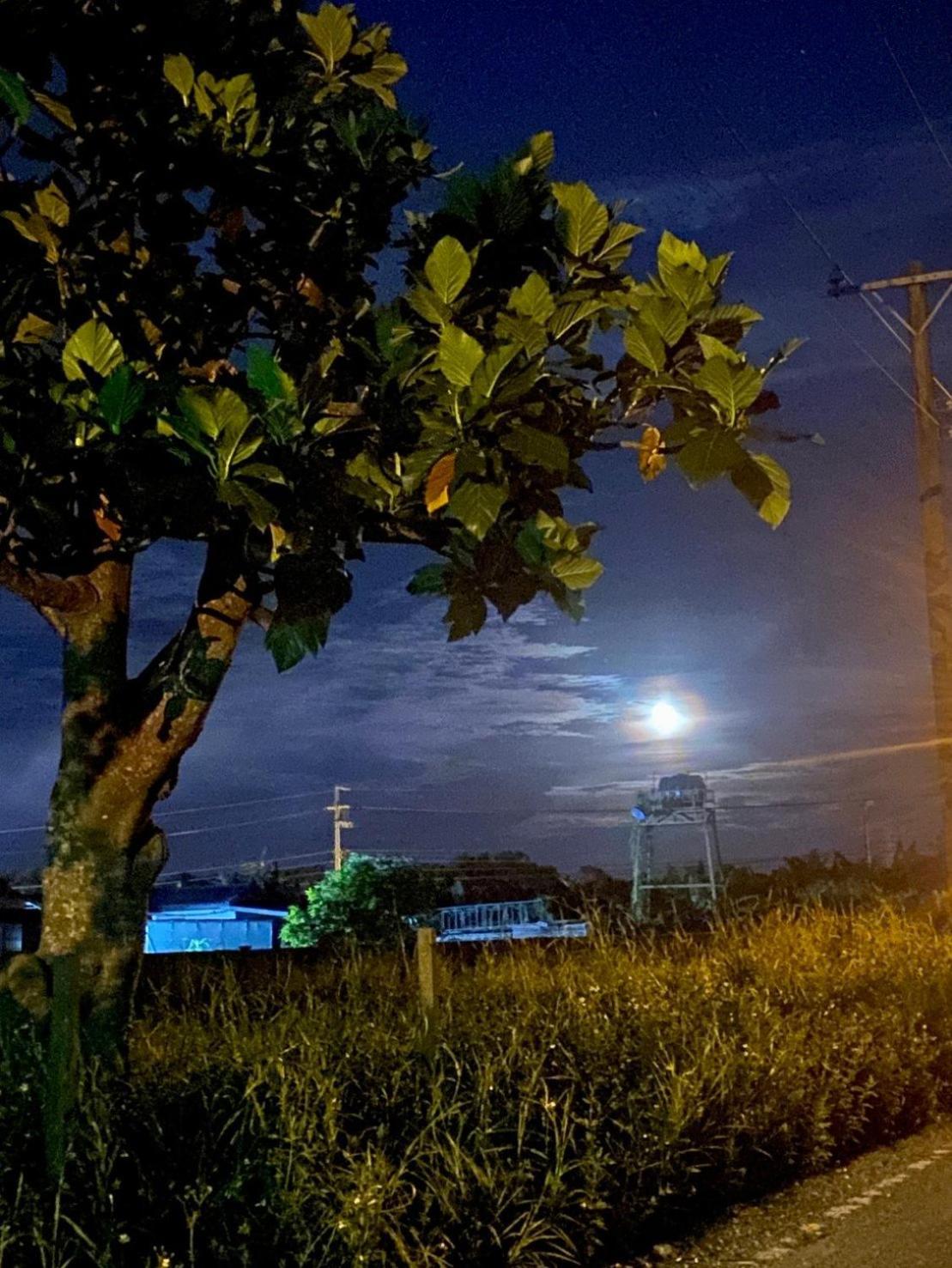 Najima B&B جيان المظهر الخارجي الصورة